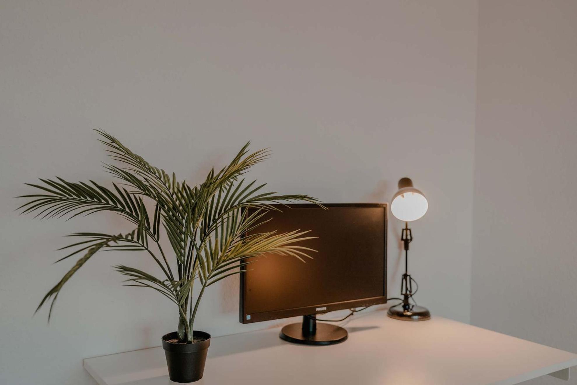Apartment Mit Kueche, Arbeitsplatz Und Xxl Sofa 노이스 외부 사진